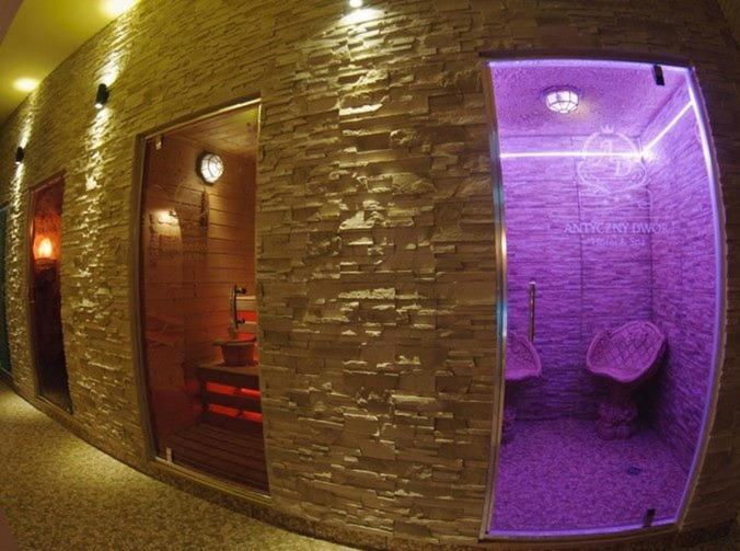 Hotel Wellness & Spa Antyczny Dwor Rudna Mala Bagian luar foto